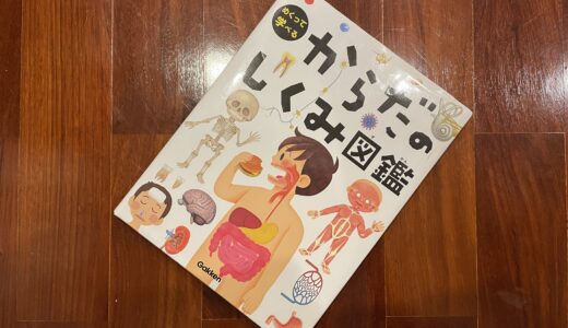 年長6歳読書｜めくって学べる からだのしくみ図鑑