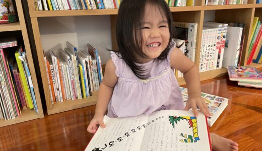 幼児教育2歳1ヶ月 12月31日週のまとめ